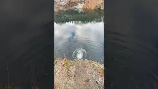 Backflip
