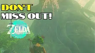 You MUST DO THIS in the Lost Woods!