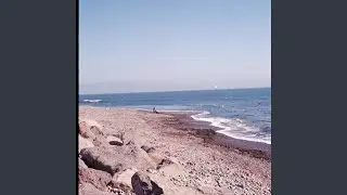 Lejosdeti