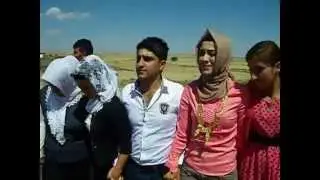 ALTUNYÜZÜK DÜĞÜNÜ FERİBOT YOLU
