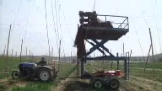 These are good times for Washington state farmers who grow hops. The beer-flavoring plant is in shor