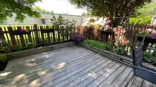 Spacious Backyard