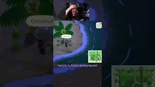 RARE BUG LOST...PRESS F #animalcrossing #acnh #fails #clips #twitch #streamer #fyp #firstplaythrough