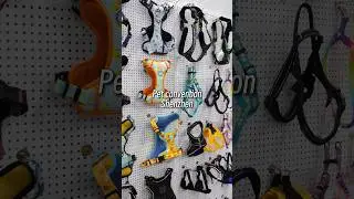 #exhibition #petbusiness #dog #cat #harness #petproducts #petbed #petclothes #trader #trade