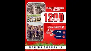 REMATE - VILLA MINETTI - 12/12/2025