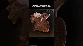 &iquest;Cu&aacute;l es tu ceratopsio (Ceratopsia) favorito? #dinosaur #dinosaurios #jurassicworld #jurassicpark
