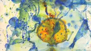 John Olsen Culinaria