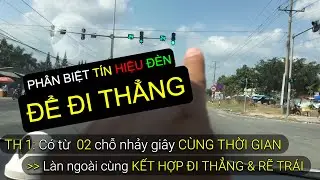 Ph&acirc;n biệt T&Iacute;N HIỆU Đ&Egrave;N để đi THẲNG