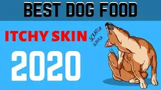 Top 5:Best Dog Food For Itchy Skin 2020 | what's the best dog food for skin allergies?