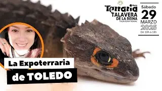 Reaparición y 0️⃣ 🅳Í🅰🆂 para Expoterraria en Talavera. Muchas actividades 🦎🍃🦅🧑‍⚕️, las repasamos! 💧🐠,