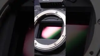 Introducing the LUMIX S1RII