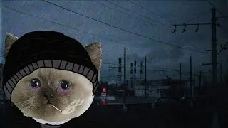 Find 101 Doomers & Hidden Winter Cats на все достижения.