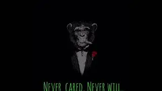 C4s Up - Never cared remix (official audio)