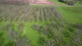 Pecan Point Shreveport Pecan Orchard