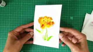 Watercoloring on photo paper using Craftangles liquid watercolors [DIY] [Tutorial]