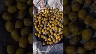 Home made hog plum pickle /lapsi pickle #sikkim#sikkimfood#lapsi#hogplum