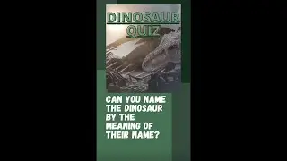 Test your dinosaur knowledge, short quiz for experts only!