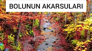 Bolu'nun akarsuları dereleri 💦🌳🌲🏞️