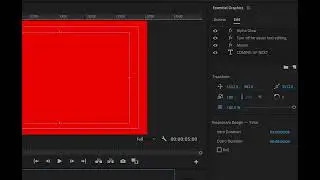 Essential Graphics
