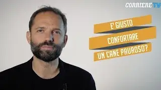 Perché è giusto confortare un cane che ha paura