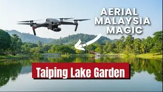 Aerial Beauty of Taiping Lake Gardens 🌿 | Drone Footage
