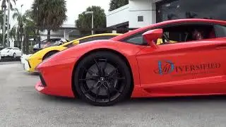 Diversified Drives You to Success