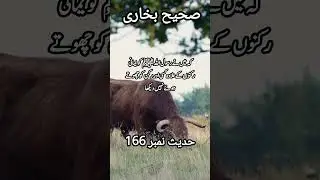 Sahih Bukhari Hadees No.166 | Book of Ablution | #hadith #islamicknowledge