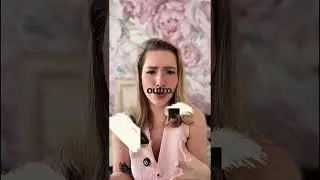 Pr&iacute;ncipe Albert morreu e todo mundo surtou