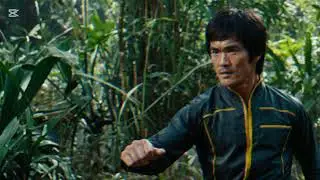 Bruce Lee Joined Power Rangers Jungle Fury