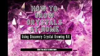 How To Grow Crystals at Home using Discovery Crystal Growing Kit