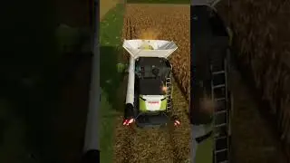 HOW TO HARVEST CORN in [farming simulator 22]🔥#shorts #fs22 #simulator