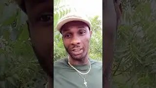 Western countries should stop issuing visa to Nigeria citizens Mostly our politicians