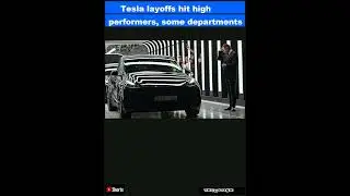 Tesla layoffs hit high performers, some departments slashed, sources say|Shorts