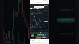 CANDLE STICK SHIBA INU DI POOCOIN