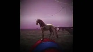 best trend of sso 😻 || Star Stable Online ||