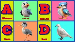Alphabet Birds Song| A to Z Birds Name| ABC Birds for kids| Phonics Song for Toddlers| Preschool