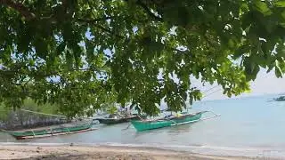 Beach Lot for Sale with White Sand Beach Frontage in Samal Island Davao (Part 5)