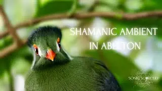CREATING A SHAMANIC AMBIENT TRACK IN ABLETON