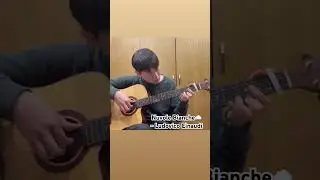 Nuvole Bianche - Ludovico Einaudi / fingerstyle guitar cover #guitar #cover