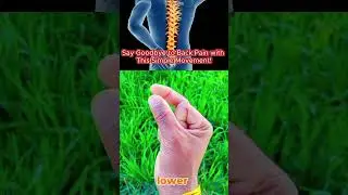 Back pien Relief do this 10 min #backpainrelief #backworkout #backexercise #shorts #shortvideo #yt
