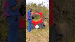 trouver un marabout avec les le ch&egrave;vre