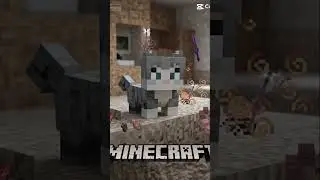 Minecraft cat named boomer