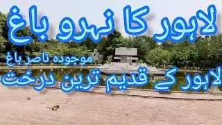 Nasir Bagh | Oldest Trees of Lahore #cityofgardens #lahore