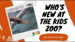Who's New At The Kid's Zoo: Benjamin the Otter