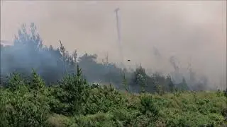 scrub fire Trentham , 22-1-2022