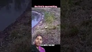 save the fish #entertainment #cute #viralvideo #shorts credit -@Rendi_goodboys