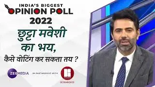 How are stray cattle affecting the political scene in Central UP?