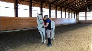 SIGLAVY BATOSTA / 2007 - liebenswerter LIPIZZANER