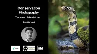 Conservation Photography | Gerard Carbonell | BIOPOLIS-Cibio Universidade do Porto