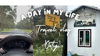 Travel vlog | Ooty vlog | A day in my life | Masanagudi | Mudumalaitiger reserve #viral #travel 